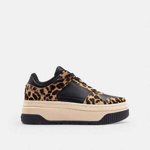 Coach Platform Leopard Sneakers